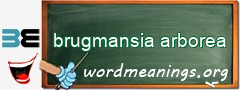 WordMeaning blackboard for brugmansia arborea